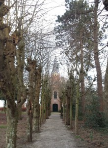 cropped-20160202_164017.jpg
